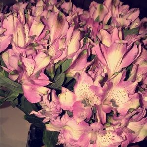 Meet your Posher, Natacha